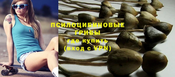дурь Ладушкин