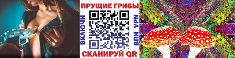 где купить наркоту  Дыгулыбгей  Галлюциногенные грибы ЛСД 